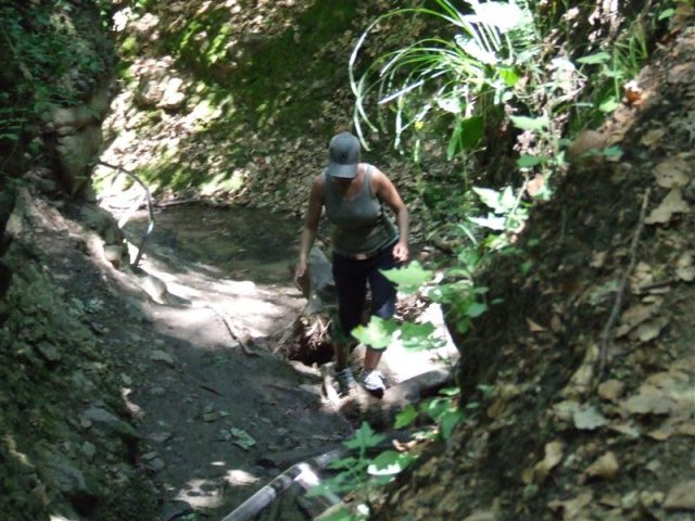 DSCF0190 (Medium)